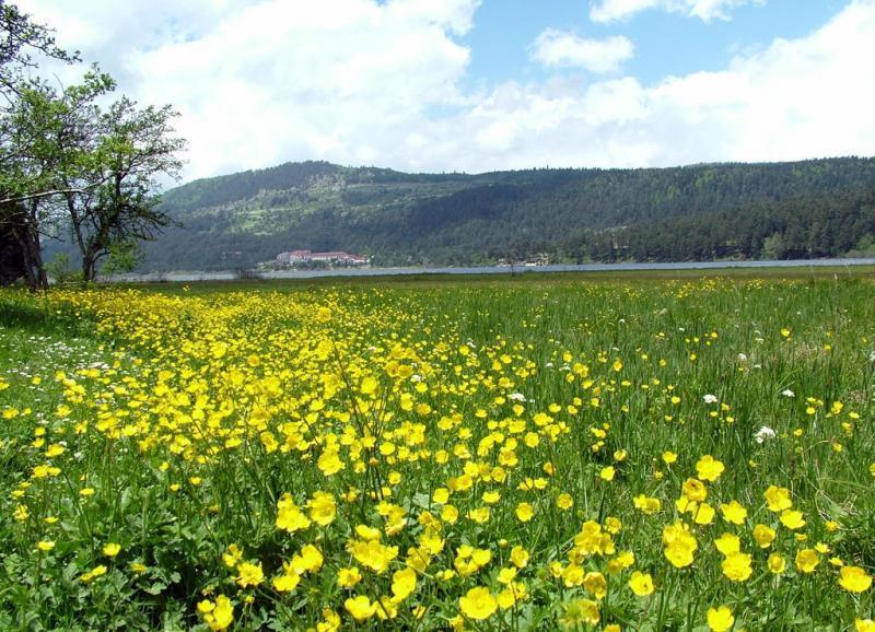 Abant Dort Mevsim Konagi Hotel Bolu Exterior foto